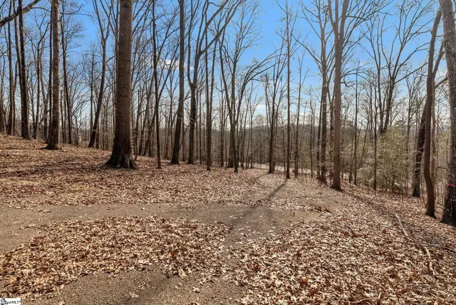 $839,000 | 100 Wood Violet Trail, Marietta, SC 29661