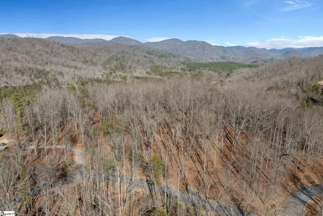 $839,000 | 100 Wood Violet Trail, Marietta, SC 29661