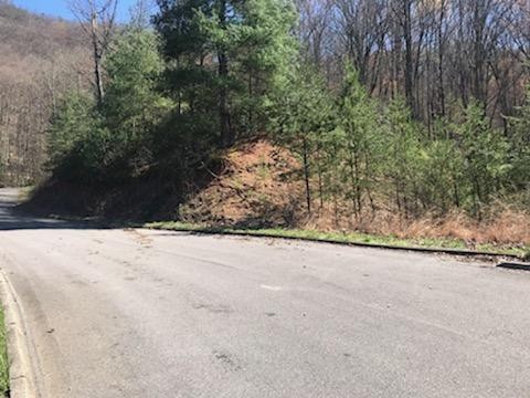 12 Lexy Lane Sevierville, TN 37862 - Photo 1 of 5