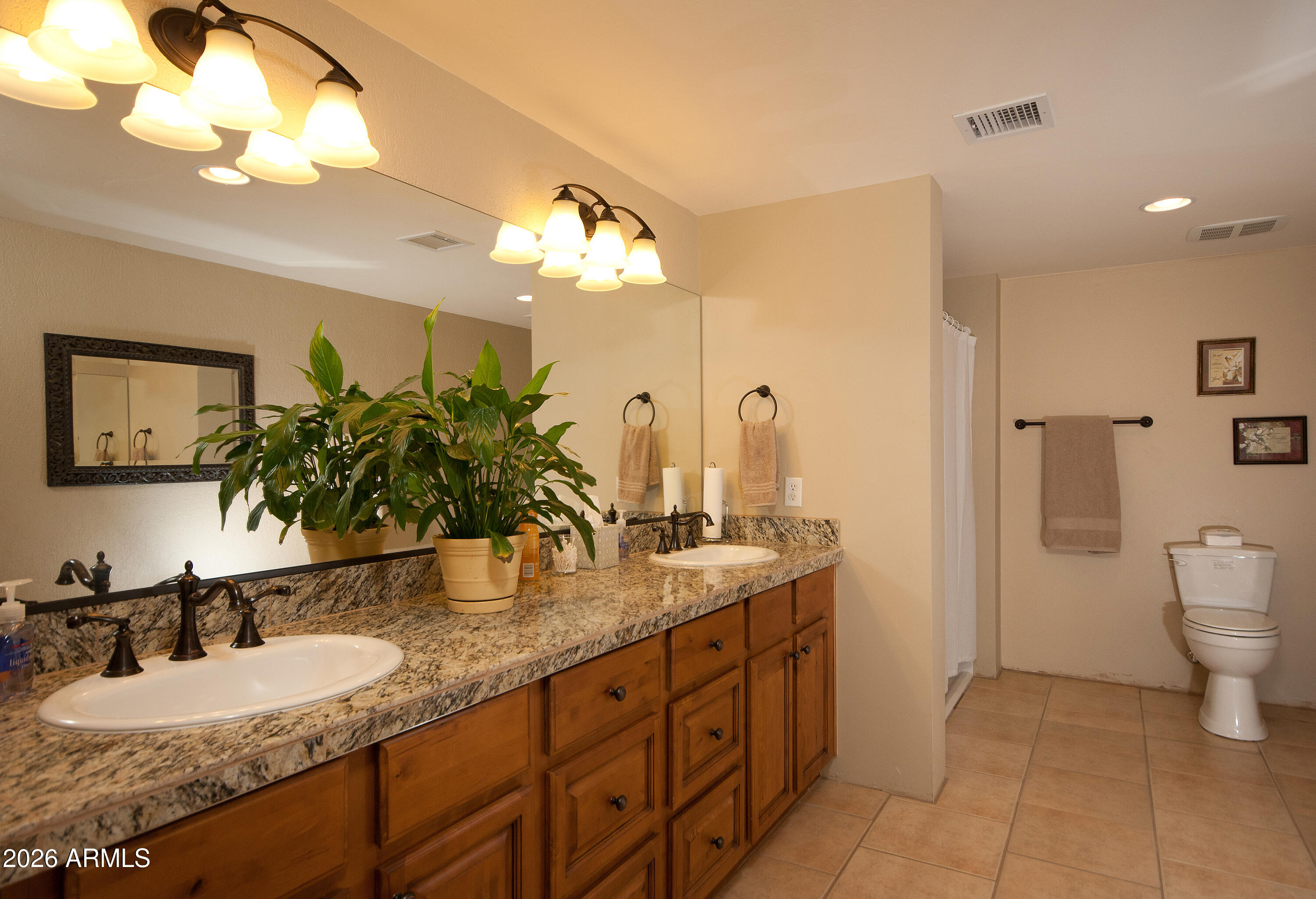 1005 South Page Springs Road Cornville, AZ 86325 - Photo 14 of 43 a bathroom with a granite countertop sink a toilet and mirror
