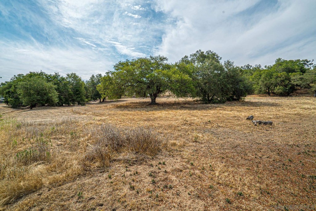Paradise Mountain Rd Valley Center Valley Center, CA 92082 - Photo 1 of 1 Gallery Image 1