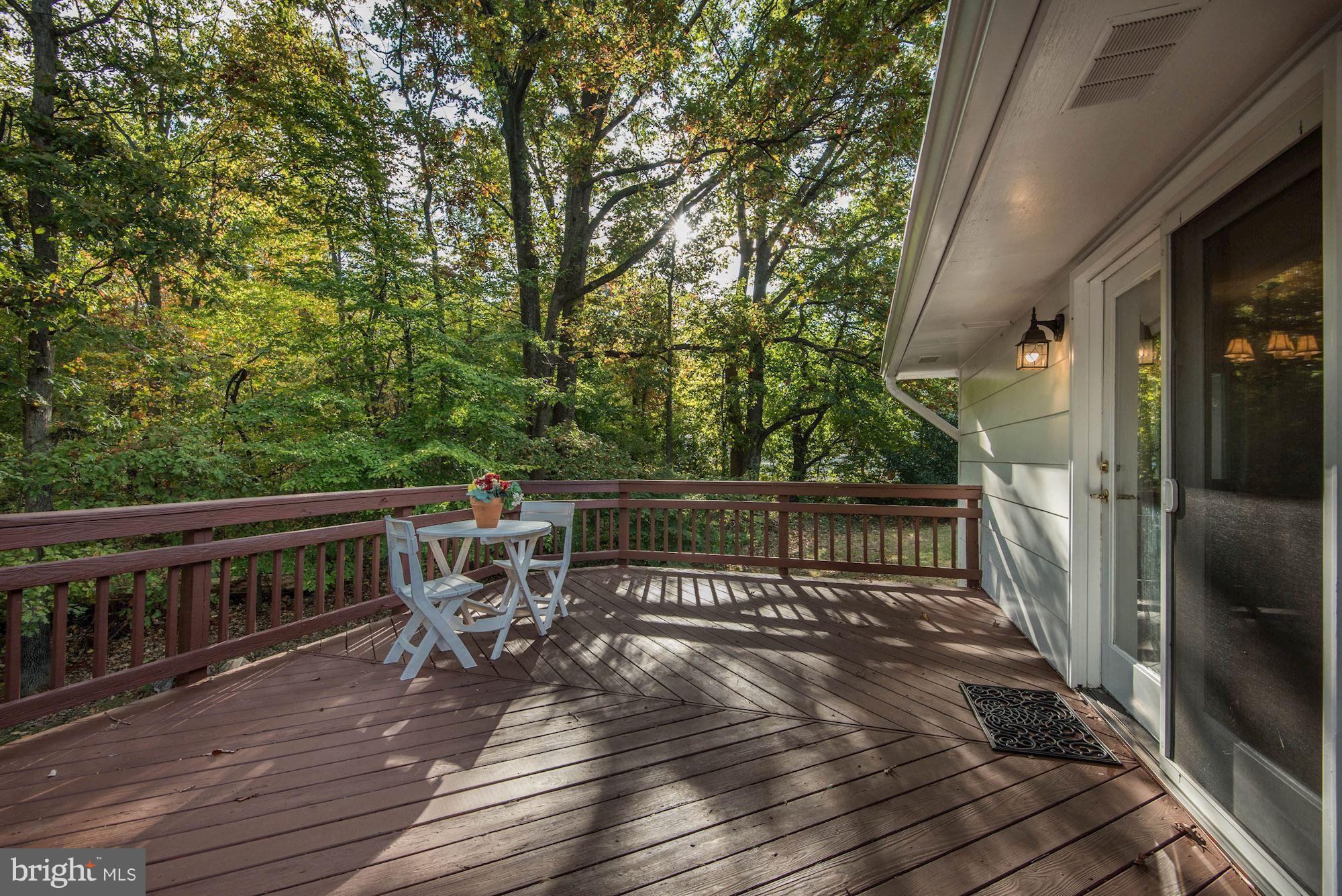 4723 Pickett Road Fairfax, VA 22032 - Photo 24 of 30 Expansive Deck Great for Grillin' & Chillin'