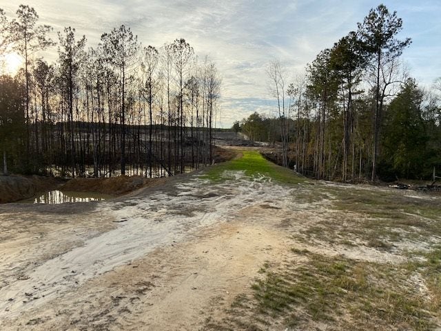 Ebeneezer Road Florala, AL 36442 - Photo 5 of 6 Gallery Image 5