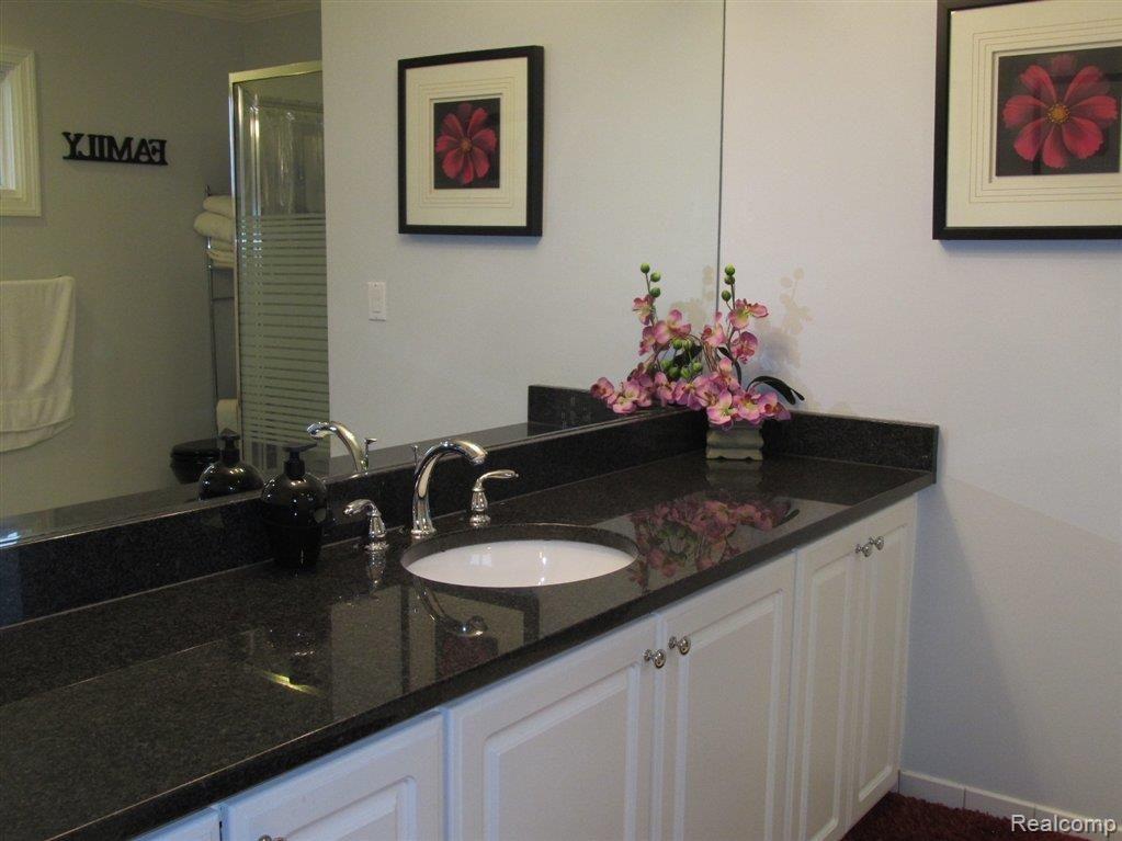 24308 Woodham Road Novi, MI 48374 - Photo 13 of 20 Master Bath