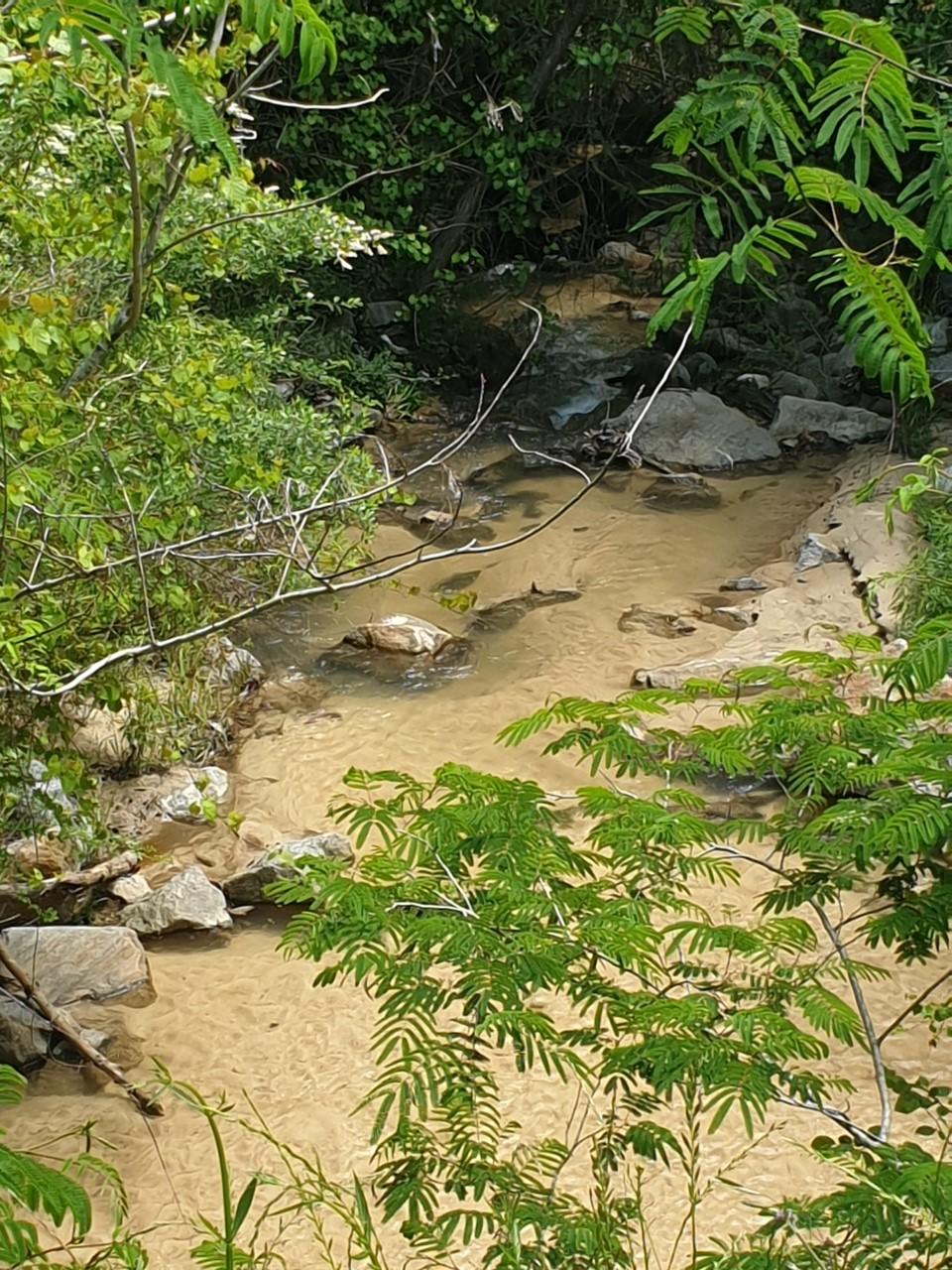 60-acres Long Road Laurel Hill, FL 32567 - Photo 11 of 18