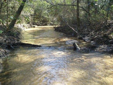 60-acres Long Road Laurel Hill, FL 32567 - Photo 12 of 18