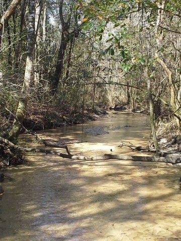 60-acres Long Road Laurel Hill, FL 32567 - Photo 13 of 18