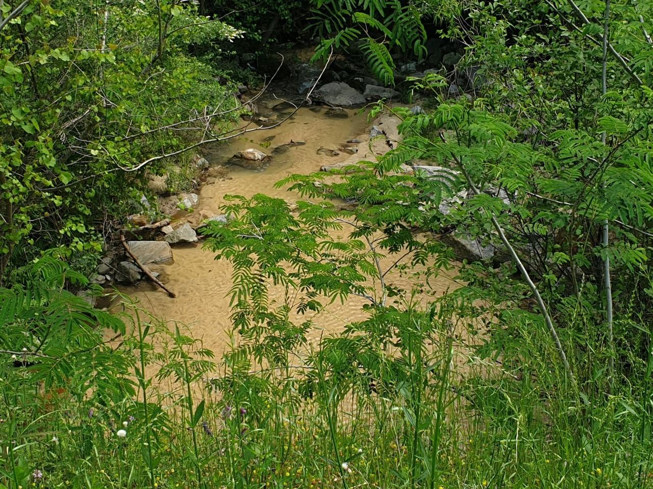 60-acres Long Road Laurel Hill, FL 32567 - Photo 16 of 18