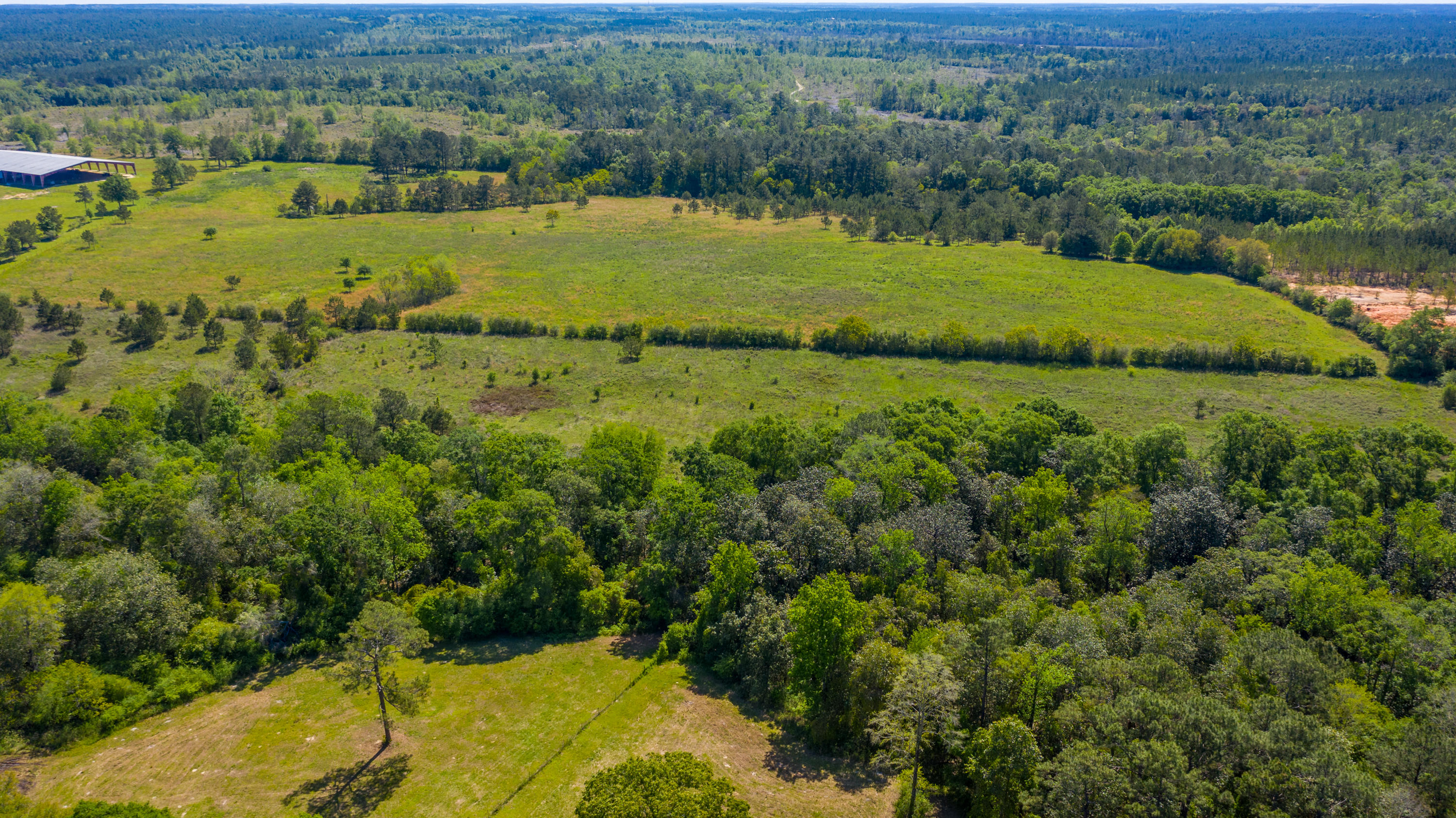 60-acres Long Road Laurel Hill, FL 32567 - Photo 17 of 18