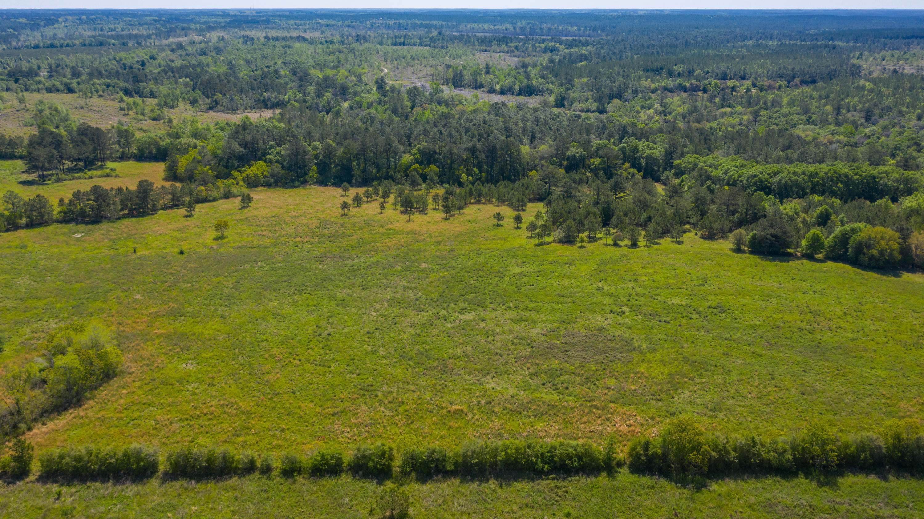 60-acres Long Road Laurel Hill, FL 32567 - Photo 4 of 18