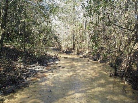 60-acres Long Road Laurel Hill, FL 32567 - Photo 10 of 18