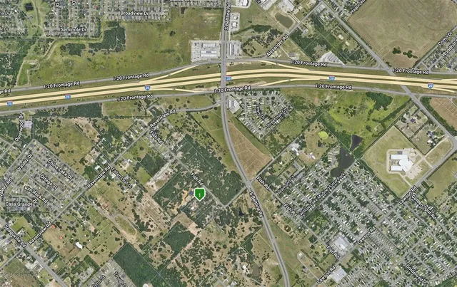 a view of a park with plants and trees