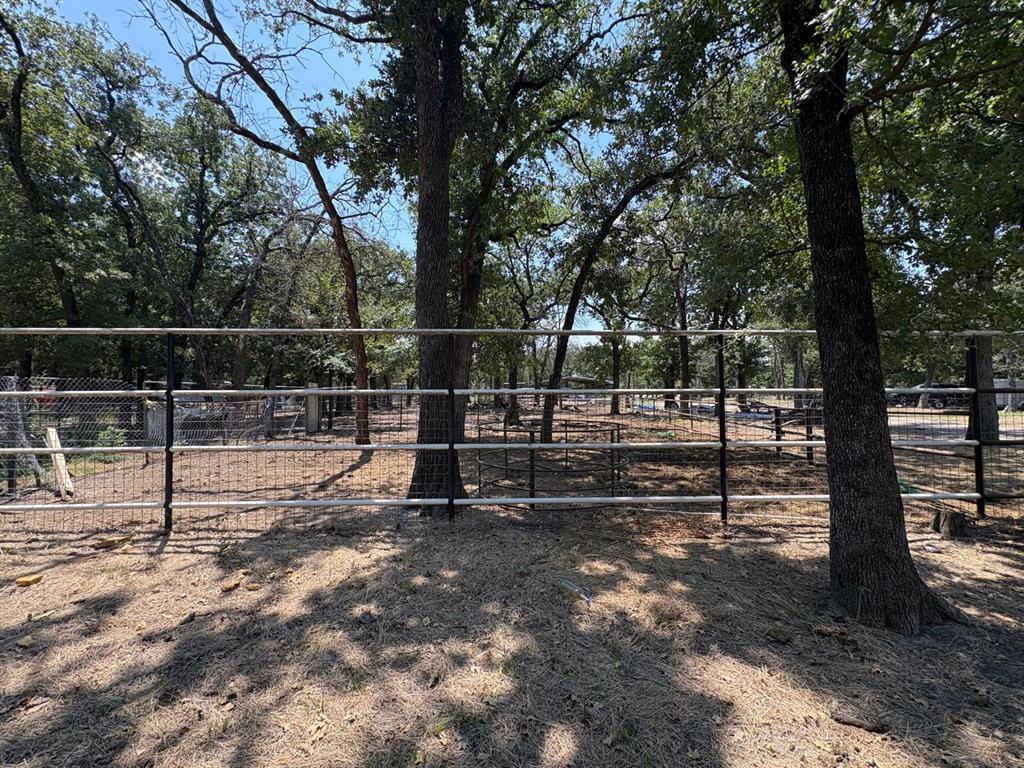 12746 Fish Road Dallas, TX 75253 - Photo 12 of 15 a view of park with green space