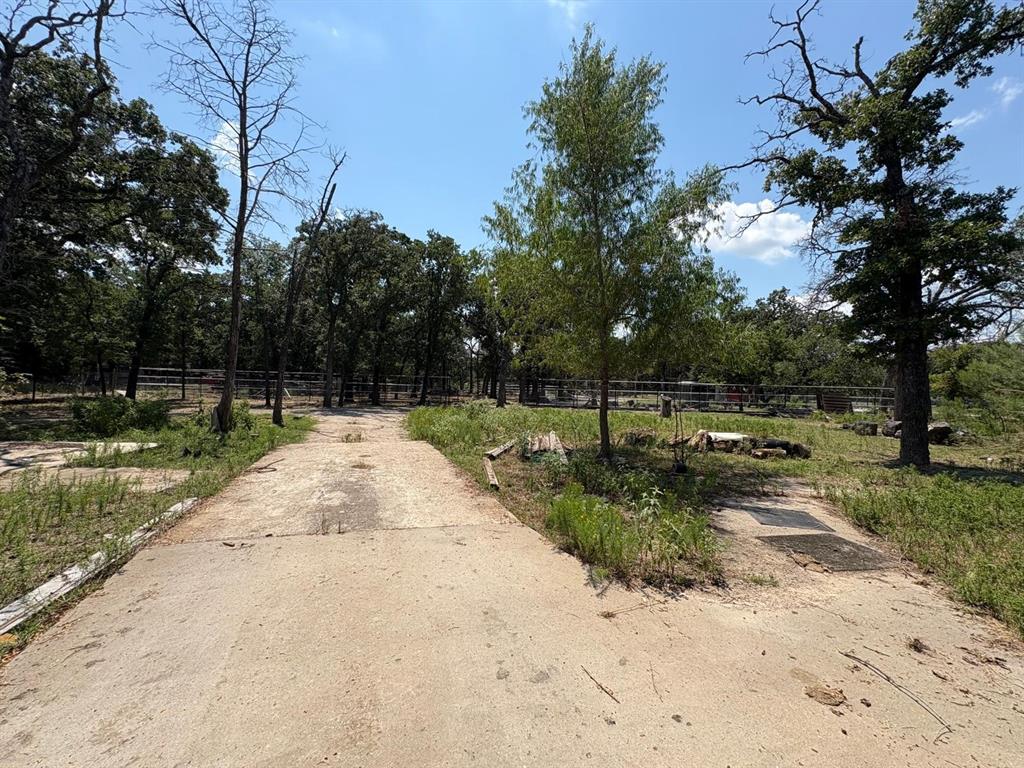 12746 Fish Road Dallas, TX 75253 - Photo 2 of 15 a view of a park with plants and trees