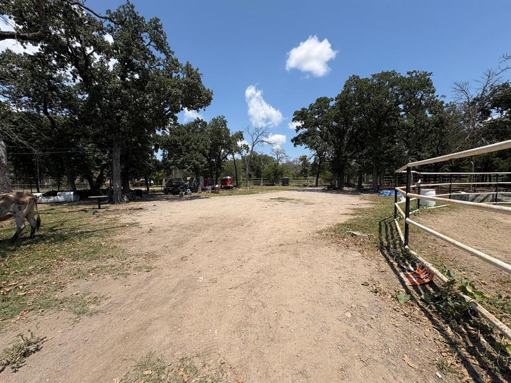 12746 Fish Road Dallas, TX 75253 - Photo 3 of 15 a view of outdoor space with trees