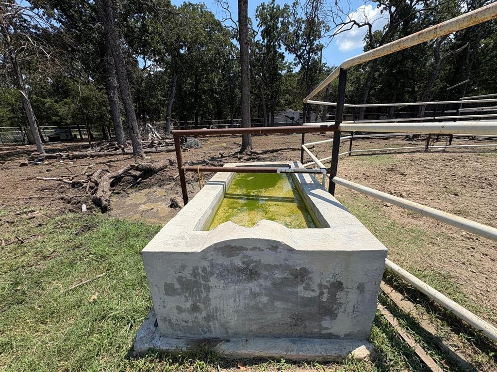 12746 Fish Road Dallas, TX 75253 - Photo 5 of 15 a view of swimming pool with a back yard
