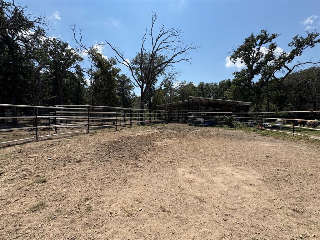 12746 Fish Road Dallas, TX 75253 - Photo 8 of 15 a view of park with large trees