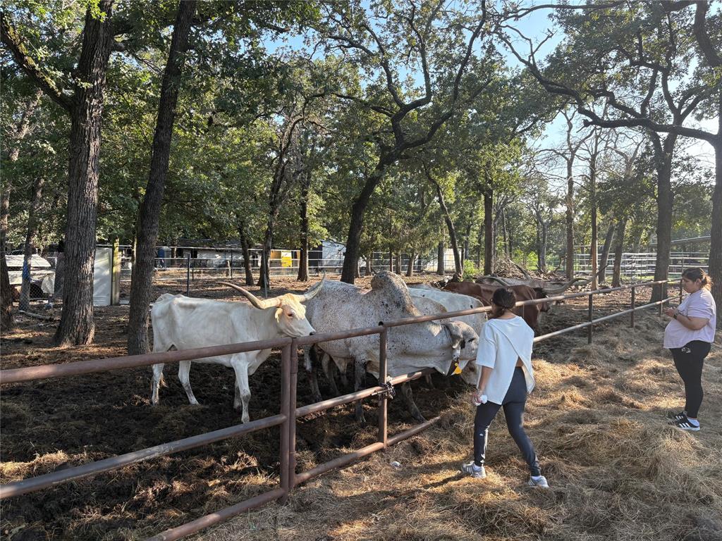 12746 Fish Road Dallas, TX 75253 - Photo 9 of 15 a view of a patio with table and chairs and wooden fence