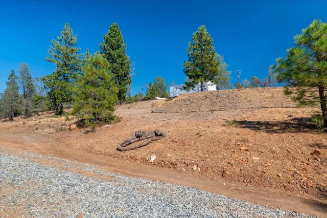 a view of a dry yard with trees