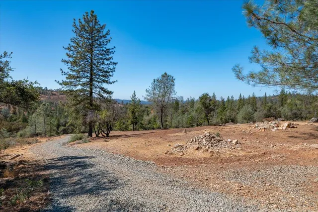 a view of dirt field with trees in the background