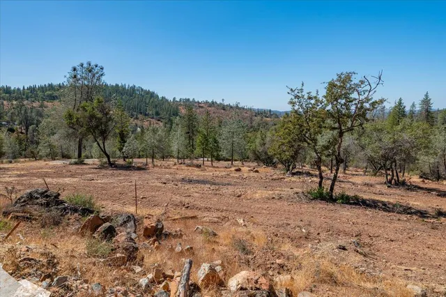 a view of dirt yard with a tree