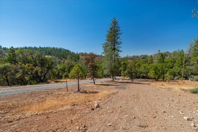 a view of dirt yard with a tree