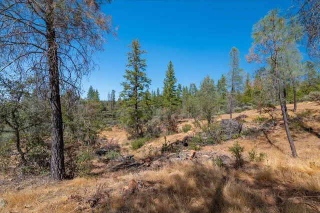 a view of a yard with a house in the background