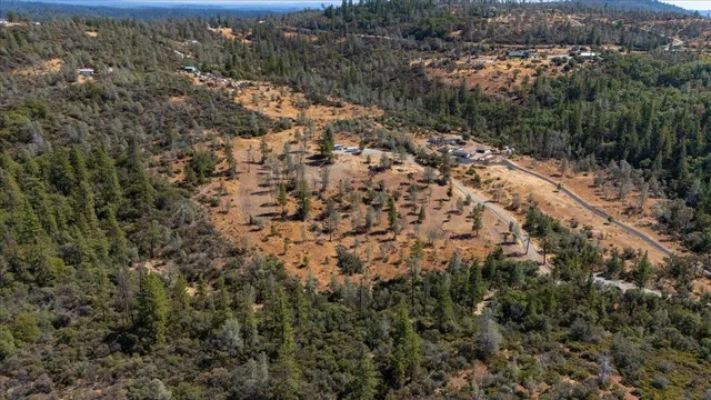 a view of a forest with a houses
