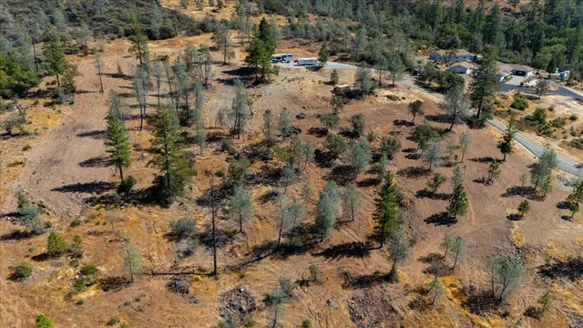 a view of outdoor space and covered with trees