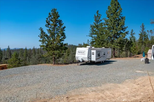 a view of the road and trees