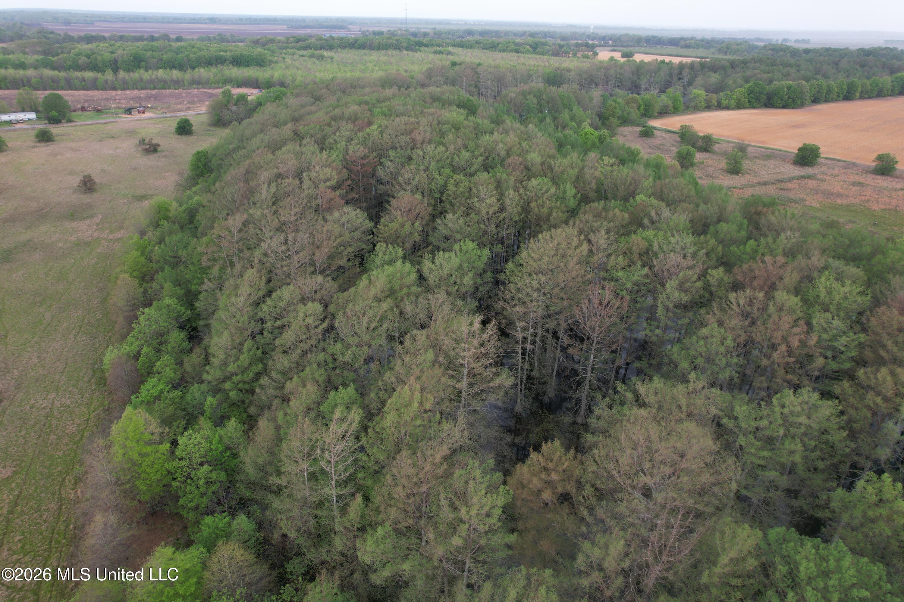 Shaw Road Sledge, MS 38670 - Photo 7 of 45 DJI_0230