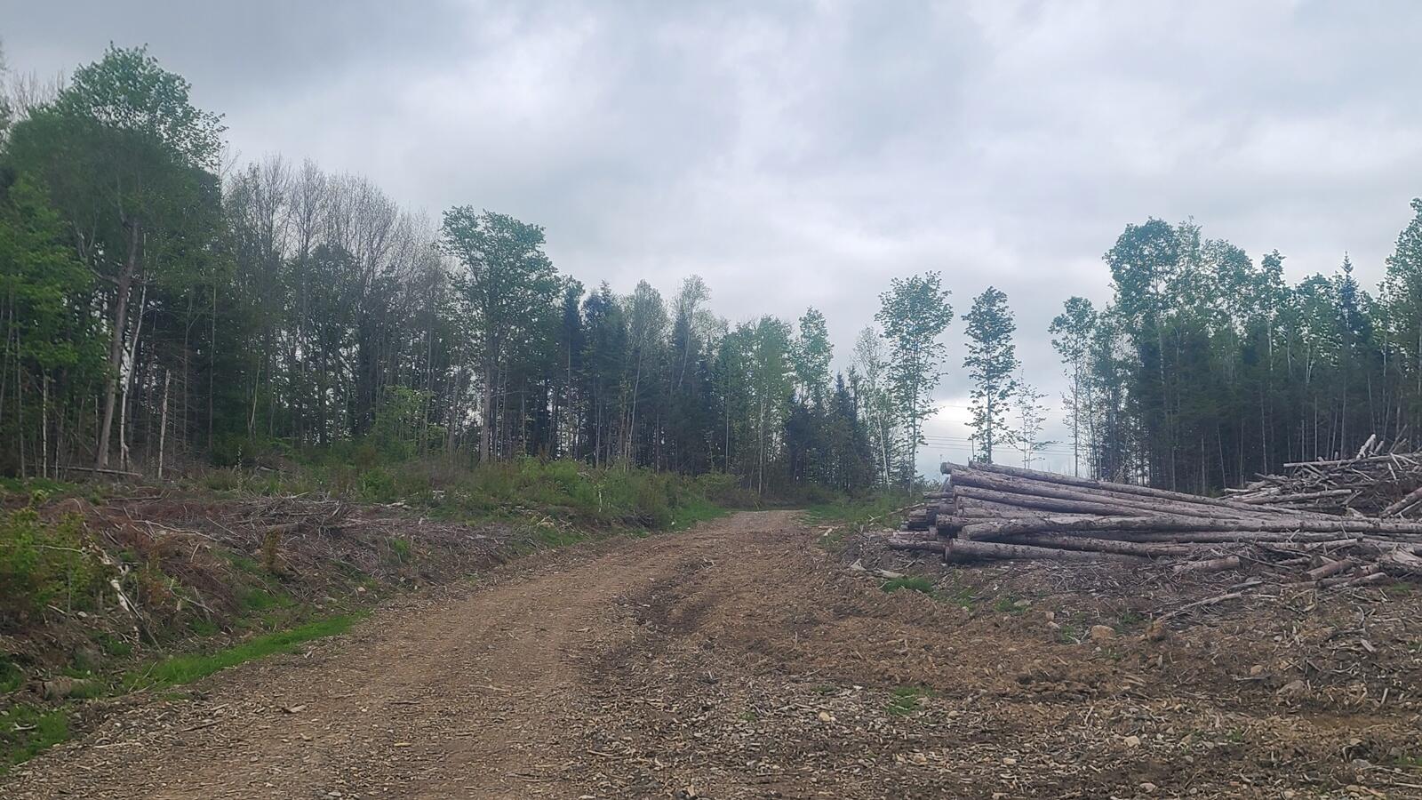 26 28/33/4 Aroostook Road Portage, ME 04768 - Photo 12 of 15 20260529_120457