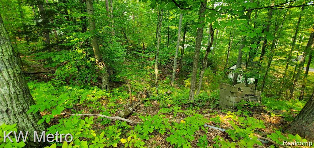 8362 West Deer Road Curran, MI 48728 - Photo 8 of 8 Gallery Image 8