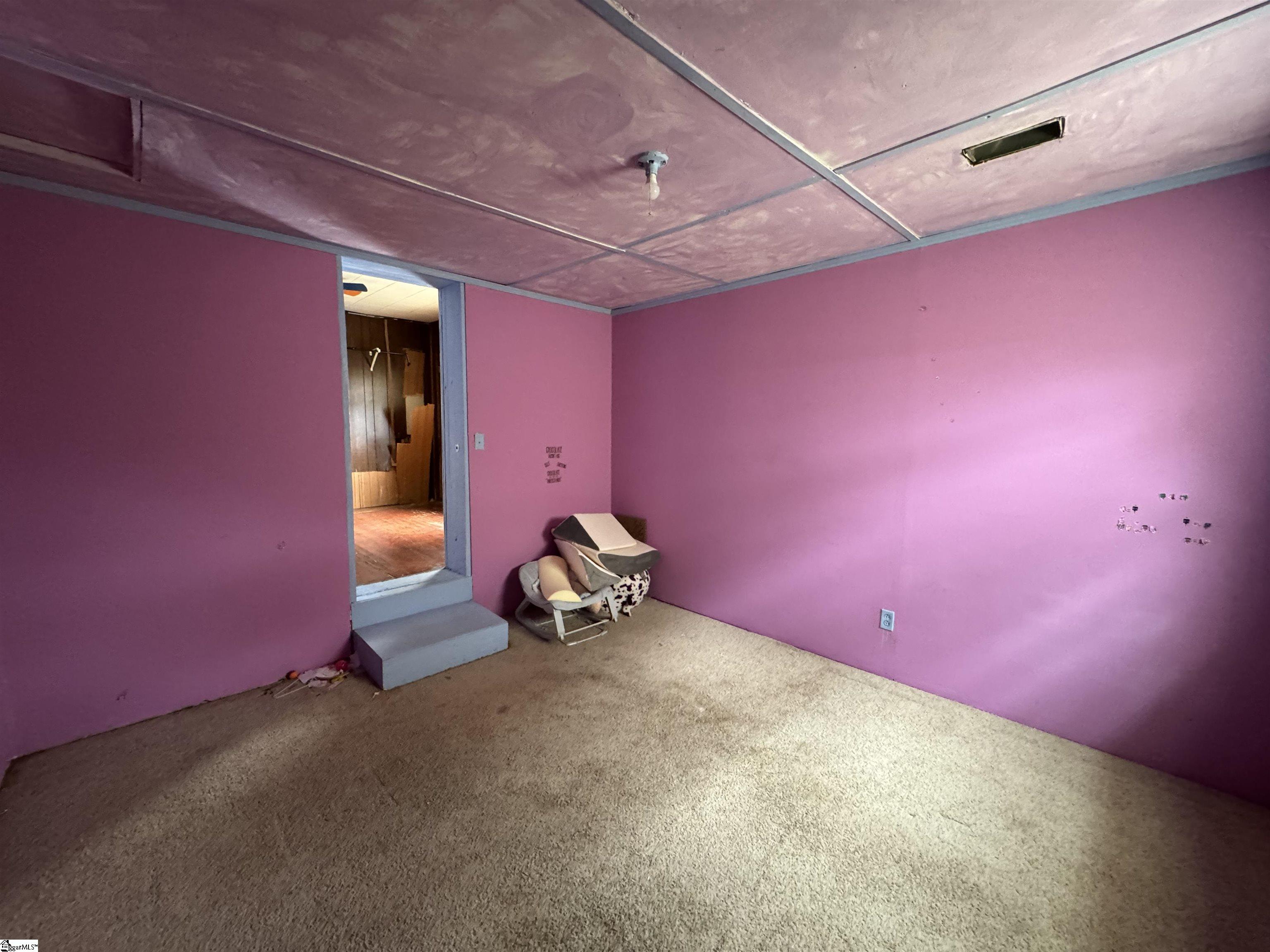 238 Abner Creek Road Greer, SC 29651 - Photo 16 of 20