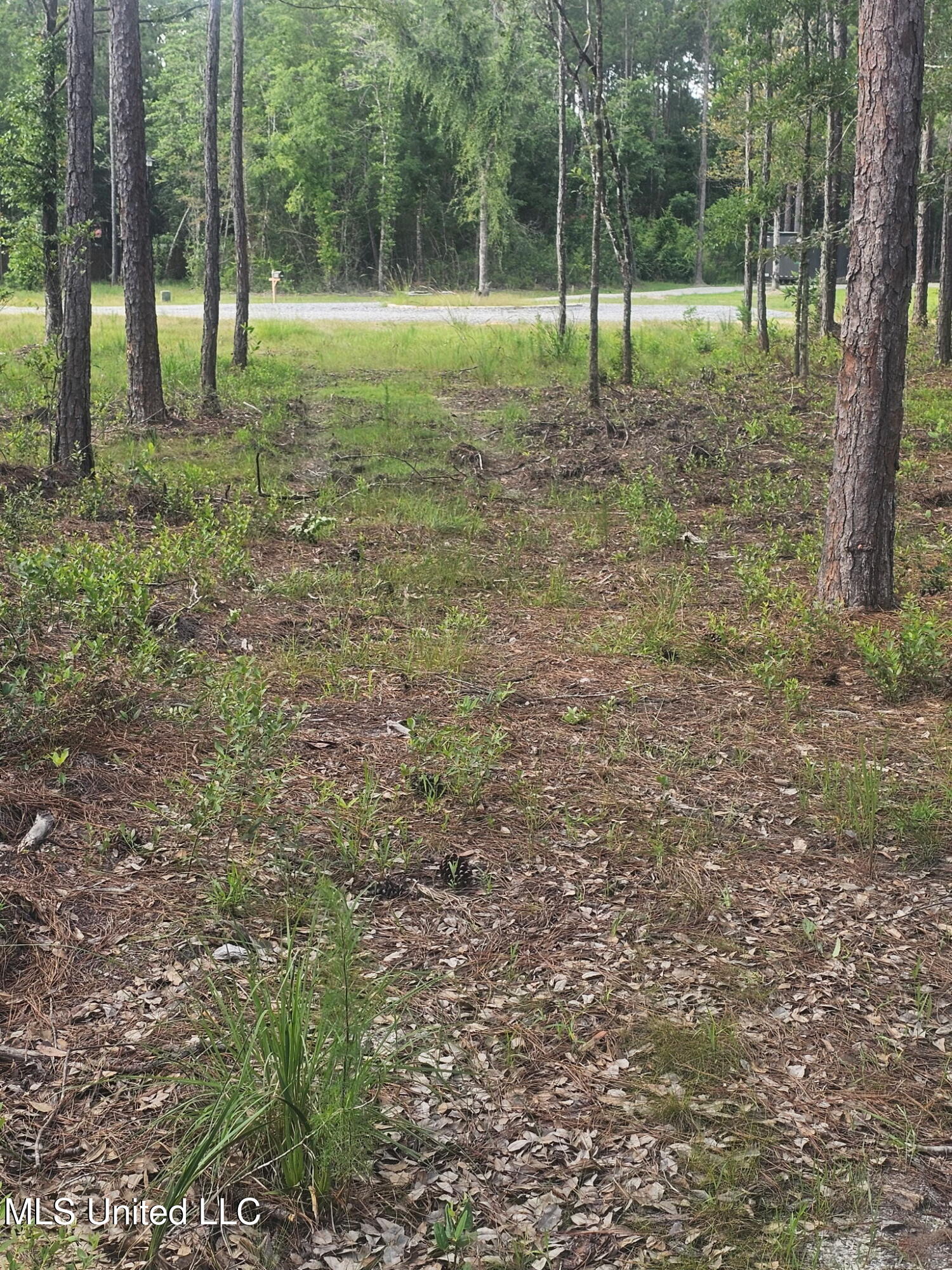18517 Goff Farm Road Moss Point, MS 39562 - Photo 1 of 11 5035283398999067940