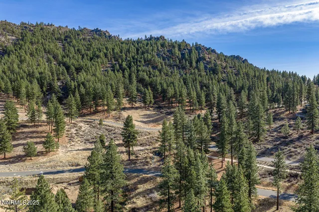 a view of a forest with mountains in the background