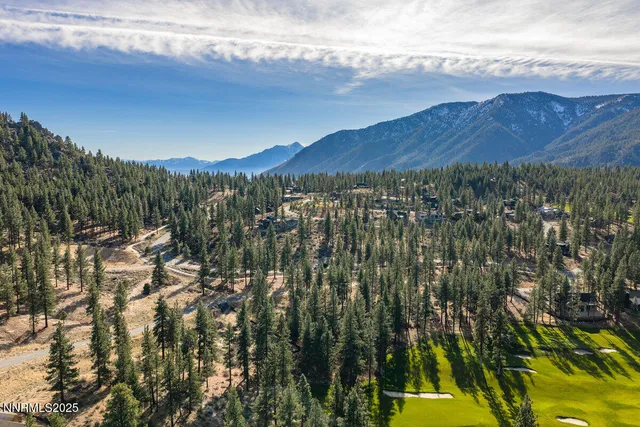 a view of a lot of trees and mountain