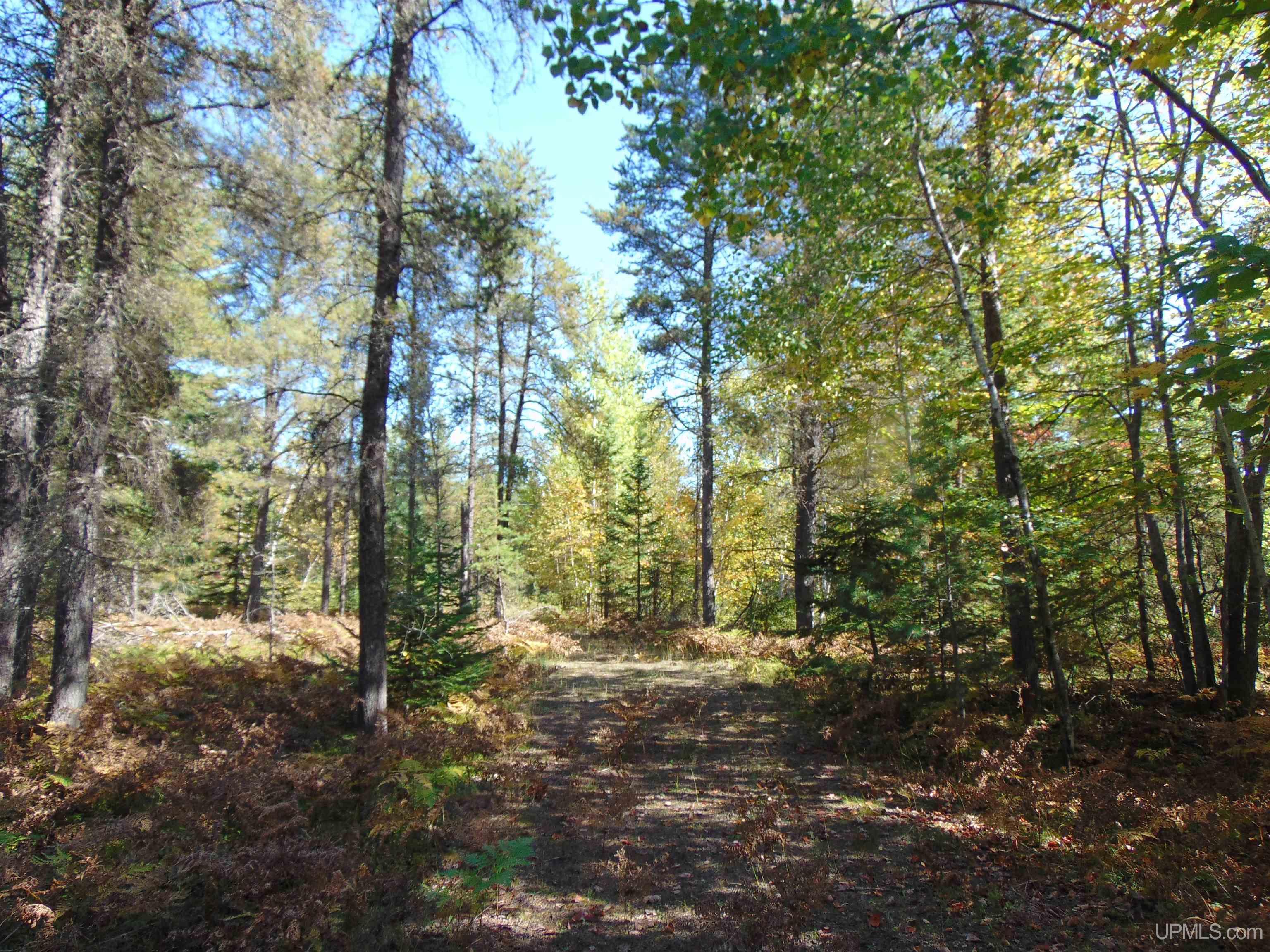 1 Rice Lake Road Hancock, MI 49930 - Photo 21 of 31