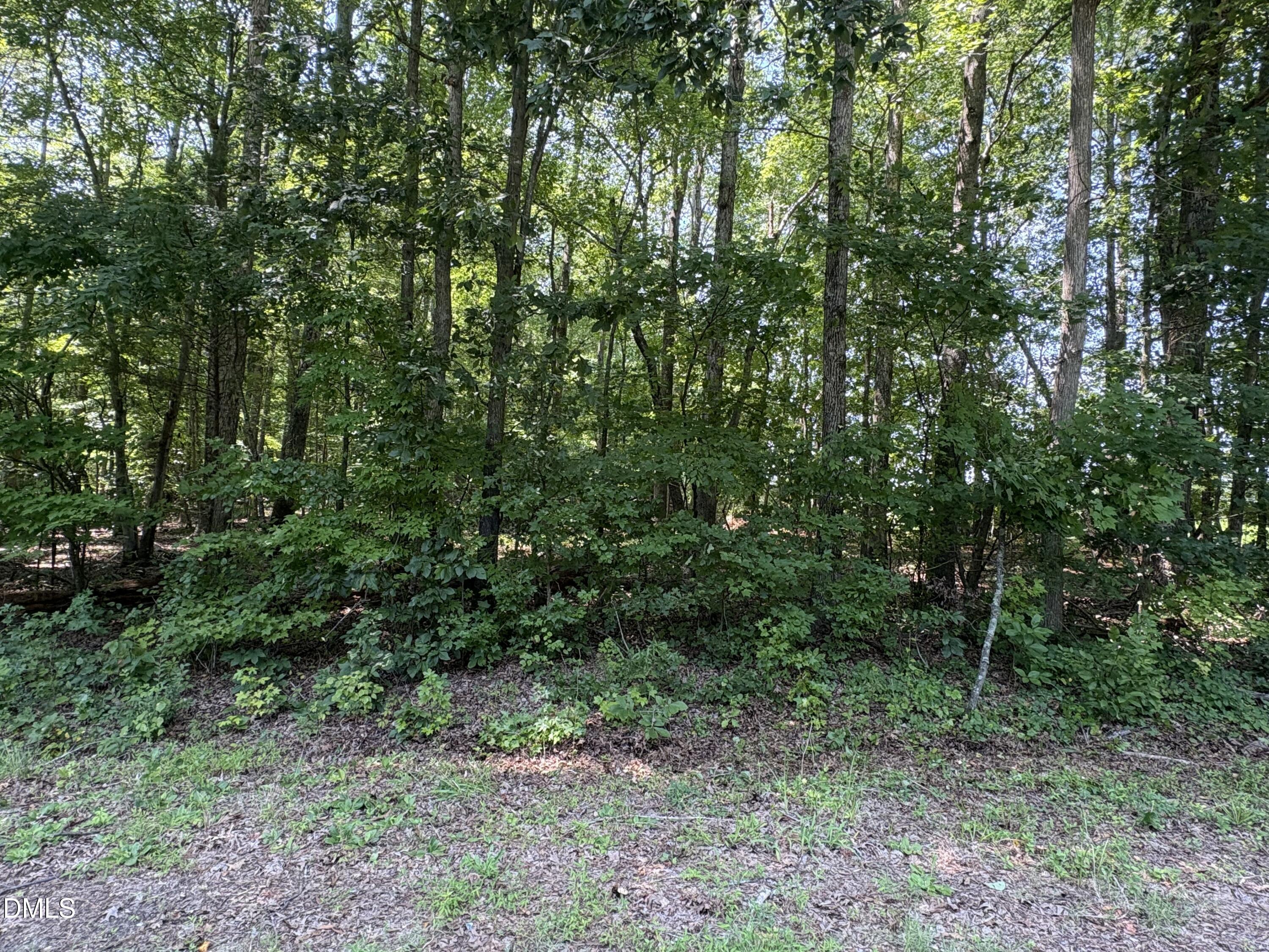 Lot 1 Sams Road Mebane, NC 27302 - Photo 1 of 1 IMG_0201