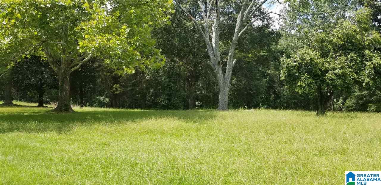 173 Beagle Club Road, Unit 1 2 Empire, AL 35063 - Photo 5 of 20