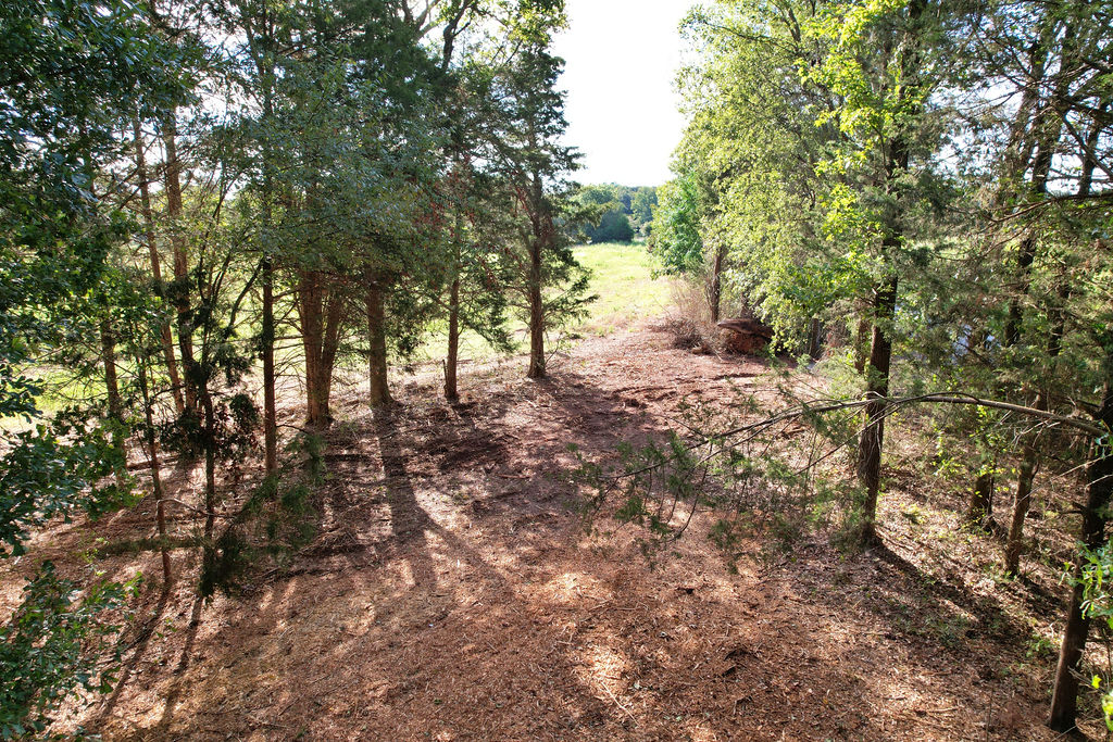 202 Island Point Road Starr, SC 29684 - Photo 15 of 27