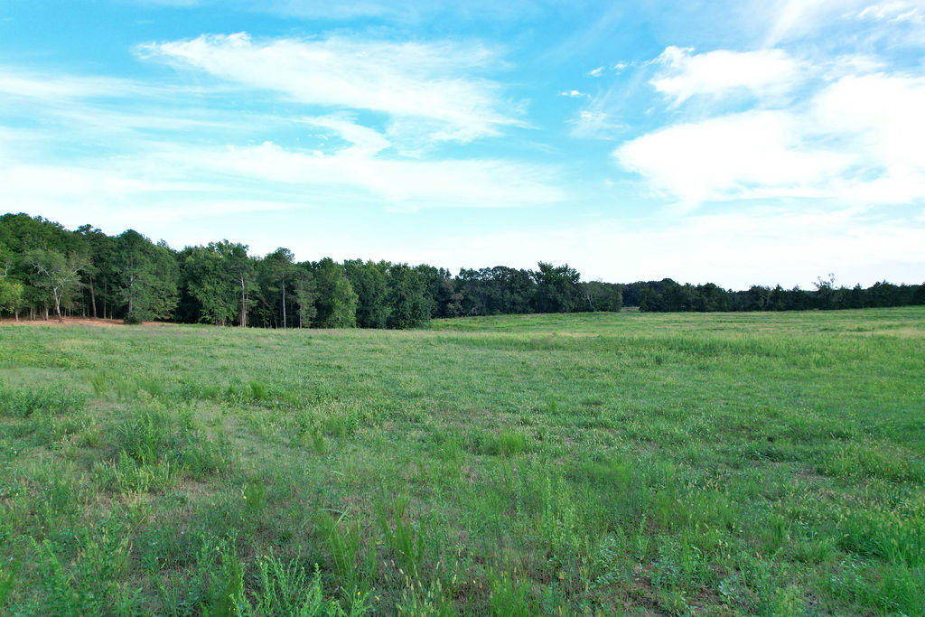 202 Island Point Road Starr, SC 29684 - Photo 8 of 27