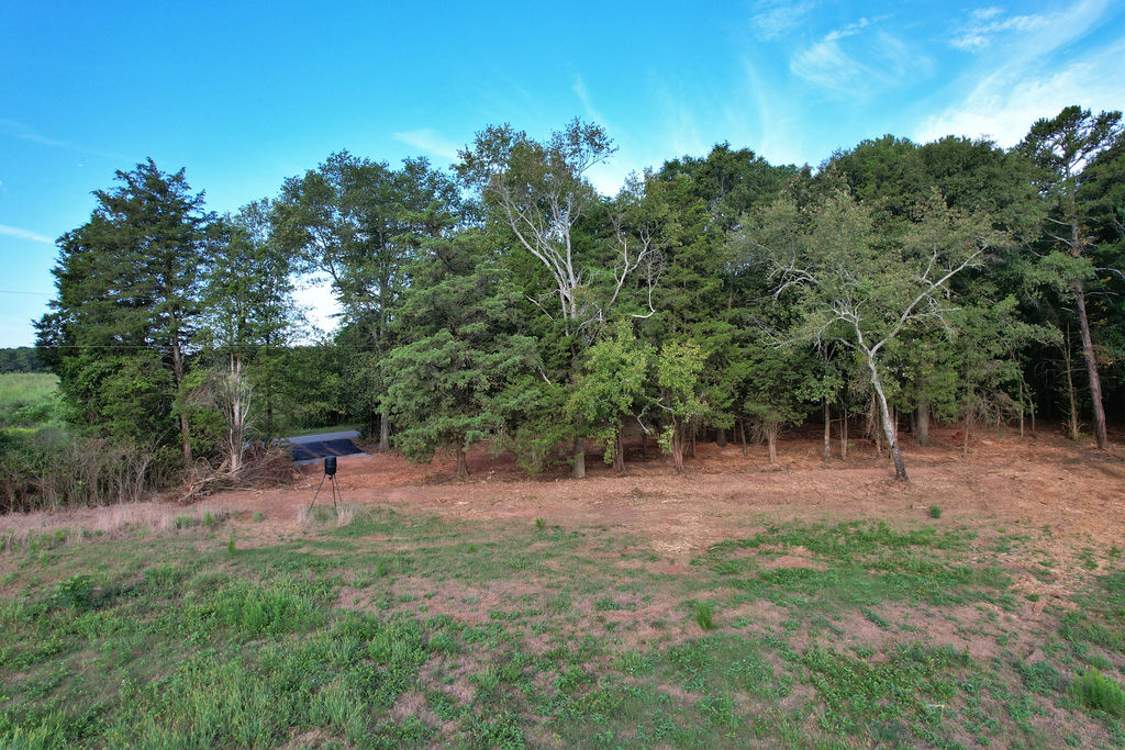 202 Island Point Road Starr, SC 29684 - Photo 10 of 27