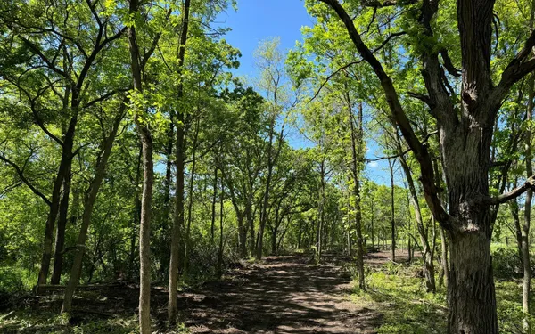 $355,000 | 1-xx N Hickory St & North 1-xx N Hickory Street, Royalton, MN 56373