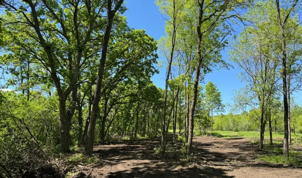 $355,000 | 1-xx N Hickory St & North 1-xx N Hickory Street, Royalton, MN 56373