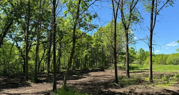 $355,000 | 1-xx N Hickory St & North 1-xx N Hickory Street, Royalton, MN 56373
