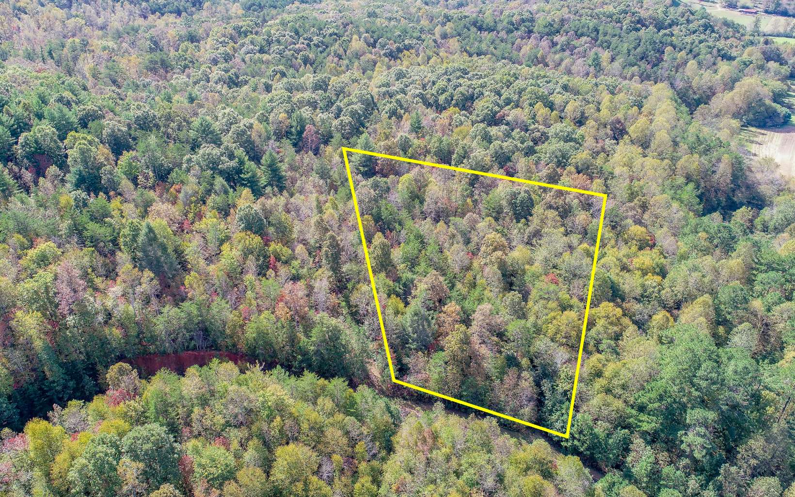 21 East Ridge Lane Ellijay, GA 30536 - Photo 13 of 17 Additional View
