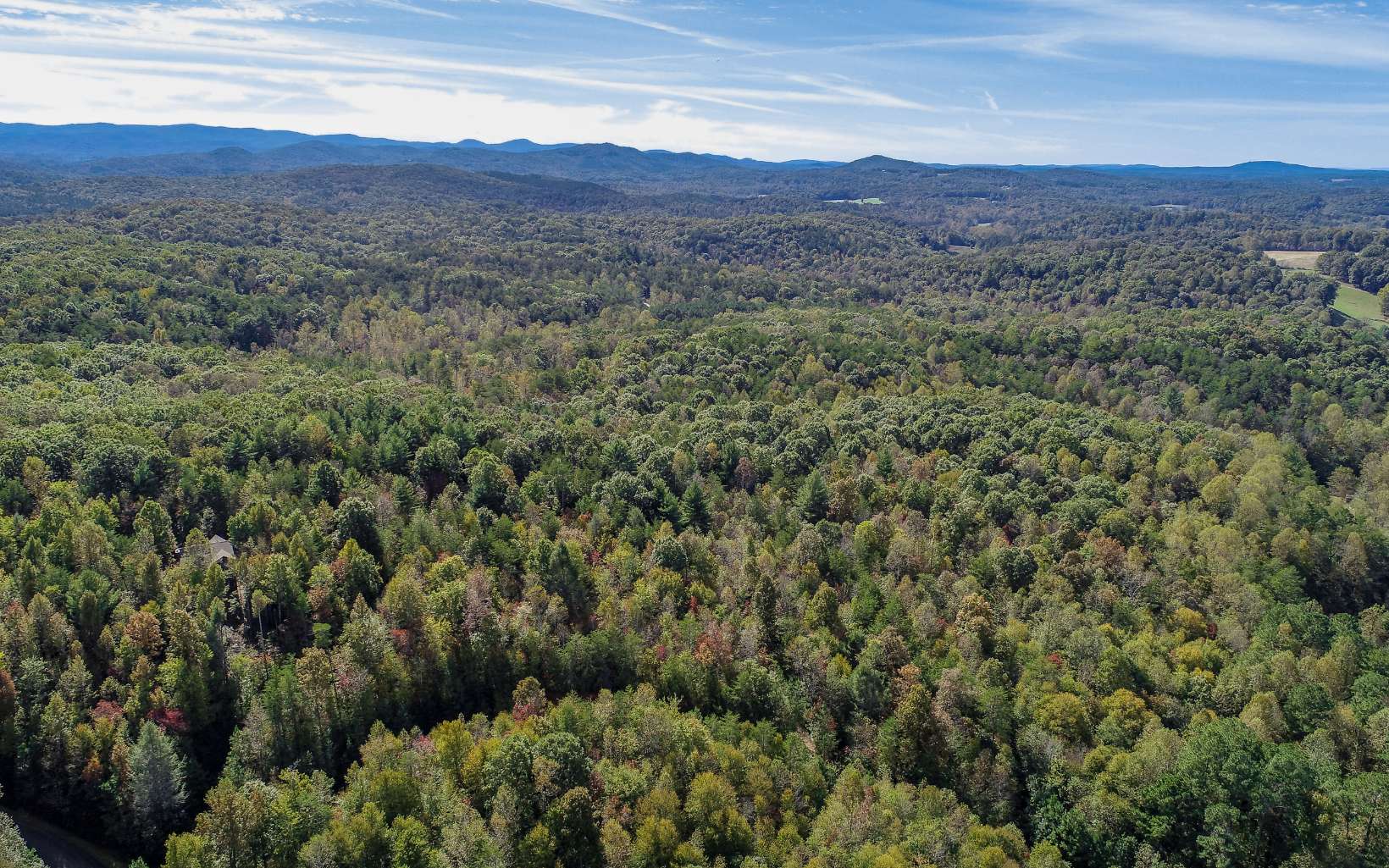 21 East Ridge Lane Ellijay, GA 30536 - Photo 15 of 17 Additional View