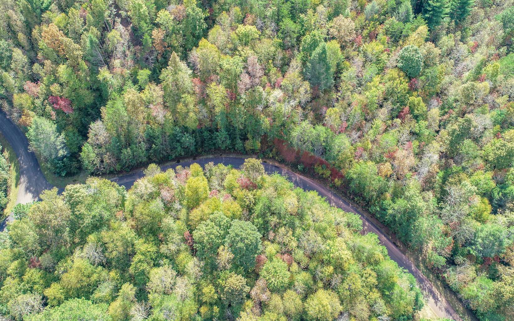 21 East Ridge Lane Ellijay, GA 30536 - Photo 16 of 17 Additional View