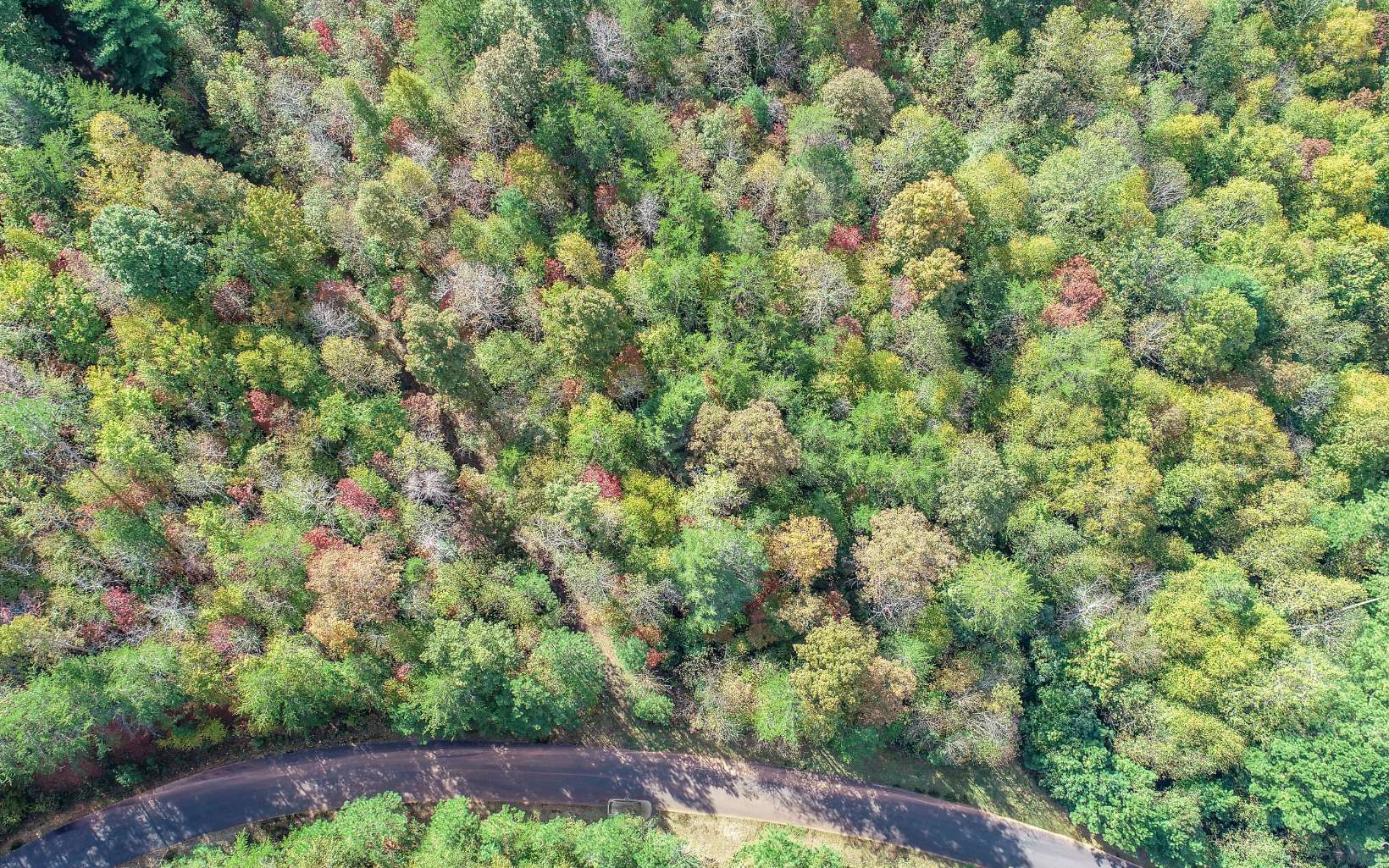 21 East Ridge Lane Ellijay, GA 30536 - Photo 6 of 17 Additional View